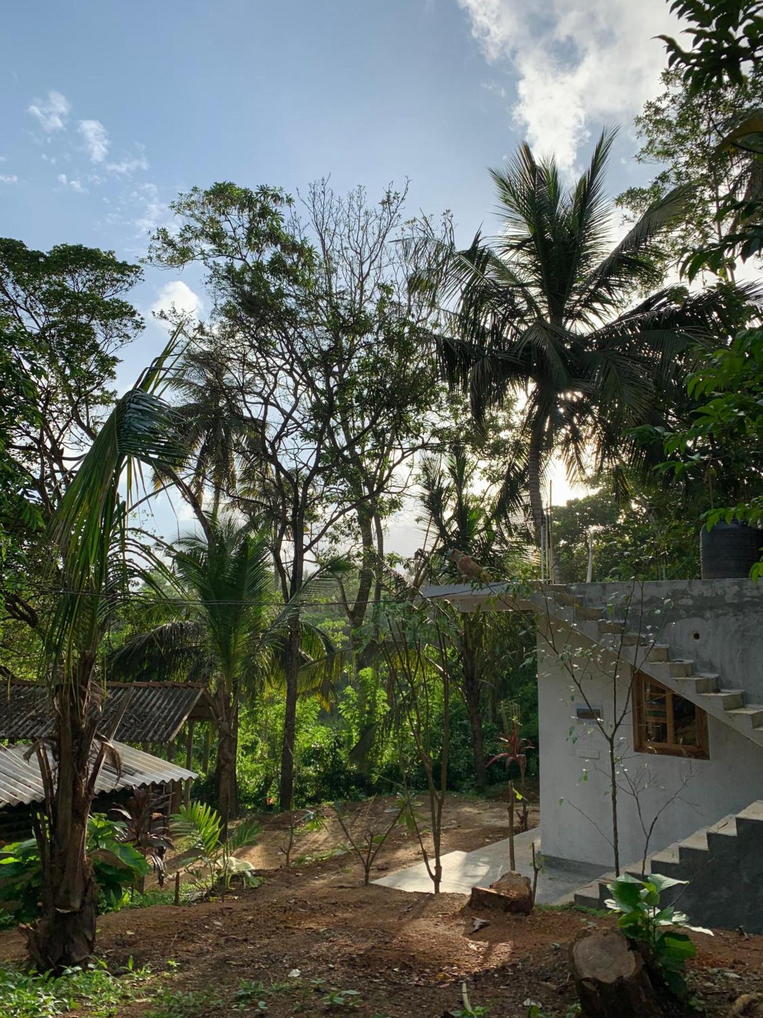 Hidden Well Hiriketiya Hostel Dickwella Exterior photo